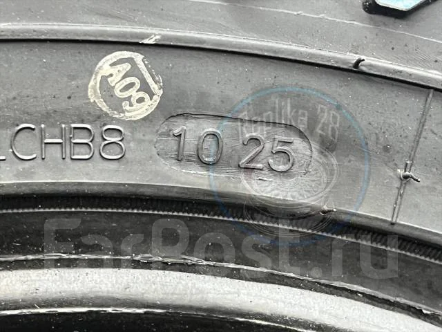 Goform WildTrac A/T01. ������, 2026 ���, ����� ����