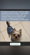 ����������� ������. ����