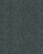 ����� ��������, Sauleda Sea Star, GRAFITO 2466 ����