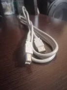 ������. ����