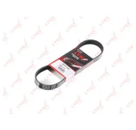 ������ ���������� 6PK738 Lynx 6PK738 ����