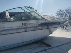 Searay. 1989 ���, ��������� ������������, ������ ����