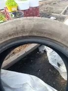 ZMax Zealion. ������, �/�, ����� �� 5 % ����