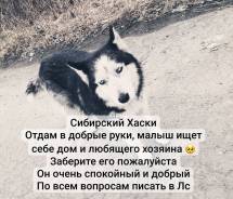 ������. ����