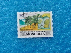 ����� - ��� - Mongolia �������� 1982 �� ����� ���� ����