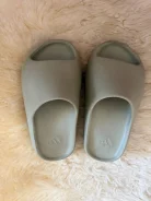 ��������. 31.5 ����