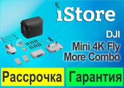 DJI Mini 4K. � �������. ��� ����� �� ������������ ����