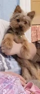 ������. ����