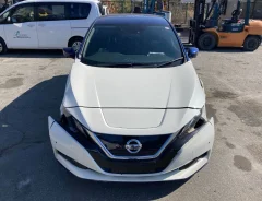 Nissan Leaf. ZE1, EM57 ����