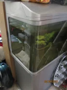 �������� ����