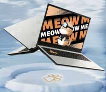 Colorful Meow R15. ��� 24 �� ����