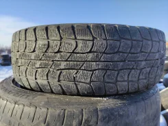 Dunlop Graspic DS1. ������, ��� �����, �/�, ����� 50 % ����
