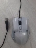 ���� �������. ����