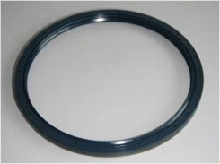 ������� ������� �������� 10/11*180*160 /MAN 06.56289-0366/ Elring 104.481 104481 ����