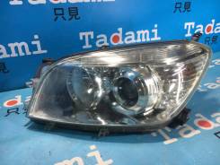 ���� �����. Xenon. ��������. ����������� 81185-42340 ����