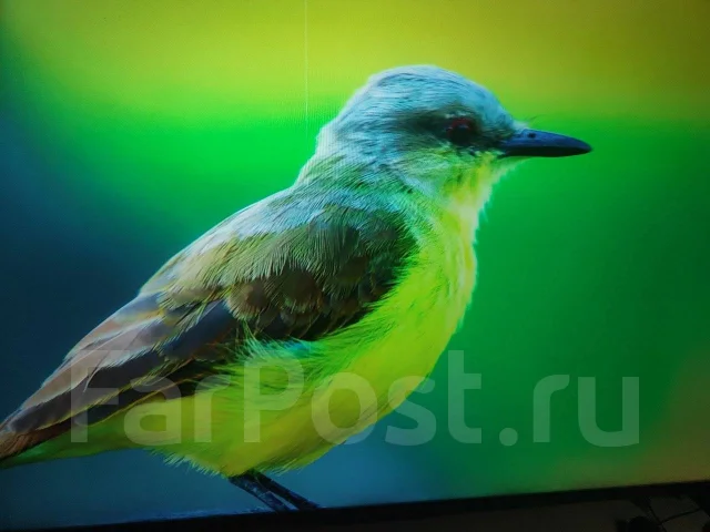 Huawei Vision S. LED ����