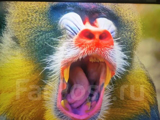 Huawei Vision S. LED ����