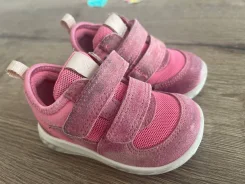 ���������. 19 ����