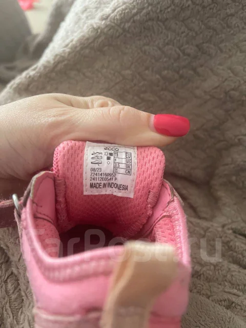 ���������. 19 ����