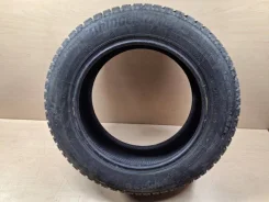 Bridgestone Ice Cruiser 7000S