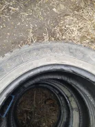 Nordman 1. ������, ����������, �/�, ����� 40 % ����