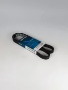 ������ ������������ Dayco 6PK1310 6PK1310 ����