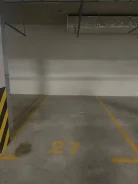 ����� �����������. ����