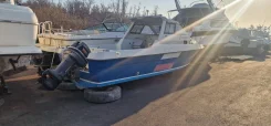 Yamaha FR-25. ��������� ���������, 300��.�., ������ ����
