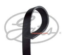 ������ ������������ XF Gates 7PK2418 7PK2418 ����