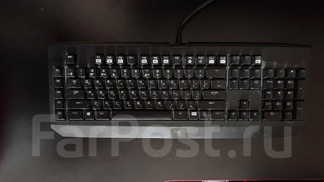 ����������. ����
