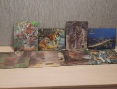 ������ ����������. ����