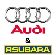 ������ ���� AUDI 6003 ����