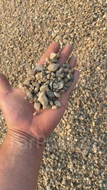 ������. ����