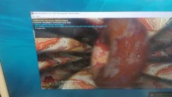 GeForce 210 ����