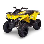Avantis Forester 200
