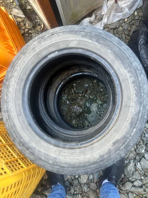 Toyo 310. �����������, 2021 ���, �/�, ����� 40 % ����