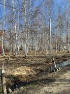 ������ ������� ���. 1 750���.��., ���, ������ ����