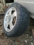 Topy Zina Lite. x16" ����
