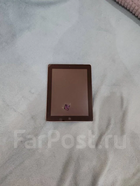 Apple iPad ����