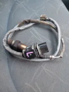 ������ ��������� 11787557223 ����