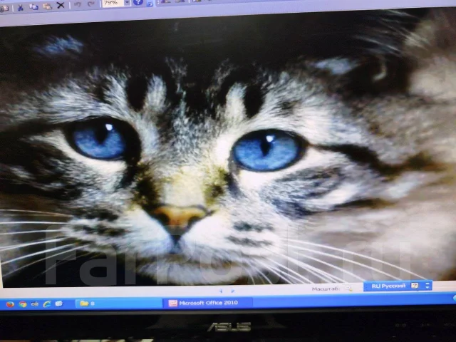 Asus. 20", ���������� �� (LCD, LED, QLED) ����