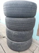 Tigar. ������, 2010 ���, �/�, ����� 50 % ����