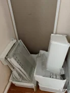 �����. ����