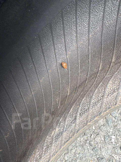 BFGoodrich Trail-Terrain T/A. ����� at, 2022 ���, �/�, ����� 5 % ����