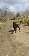 ������. ����