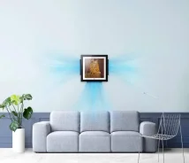 LG. 25��&sup2;. ��� ����� �� ������������ ����