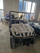 Yamaha Rhino 660. ��������, ��� ������� ����