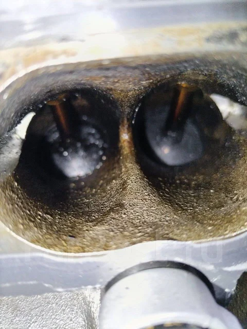 ��������� Audi CDN, CDNC, CDND 06H100034C ����