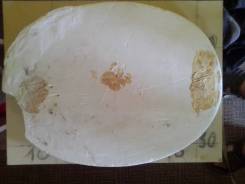 ���� �� ����� ����