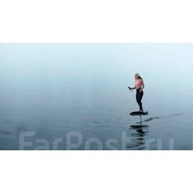 ������������� ��������� Waydoo Flyer Evo Pro Plus. 2025 ��� ����